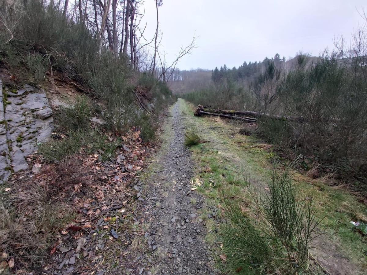 Chalet Ardennais 240 - La Boverie - Rendeux Eksteriør billede