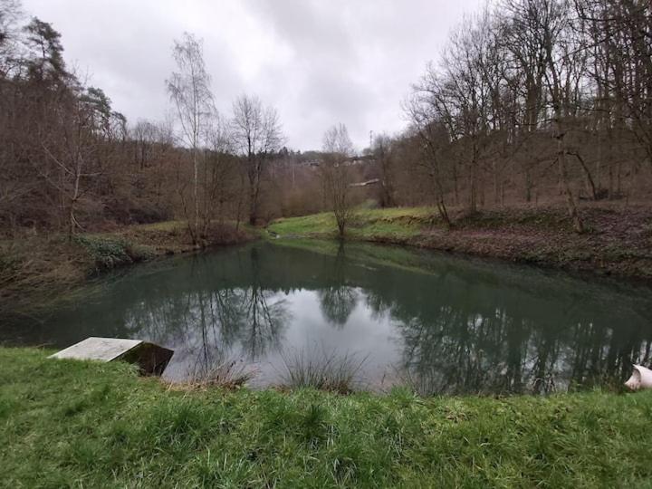 Chalet Ardennais 240 - La Boverie - Rendeux Eksteriør billede